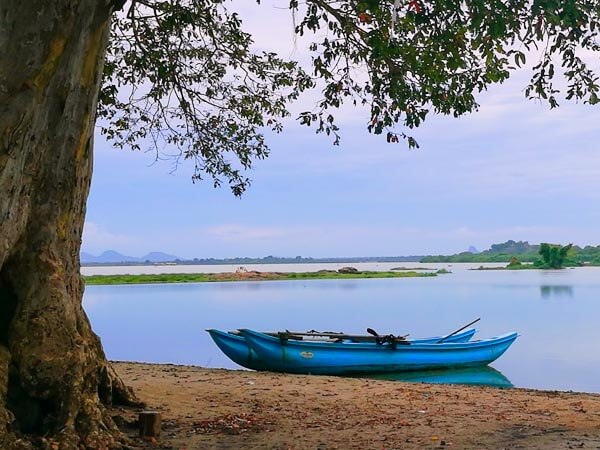 Jaffna